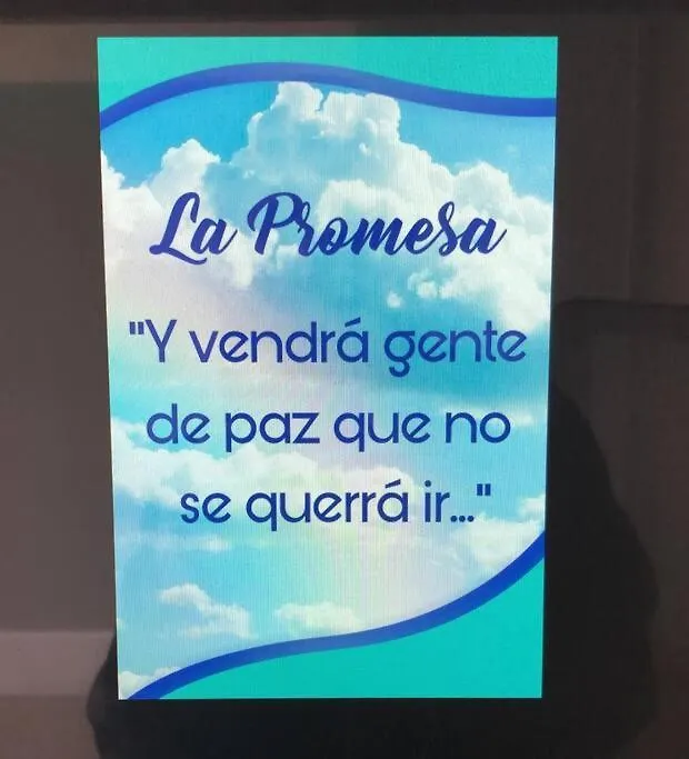 El Paraiso ヤブコア